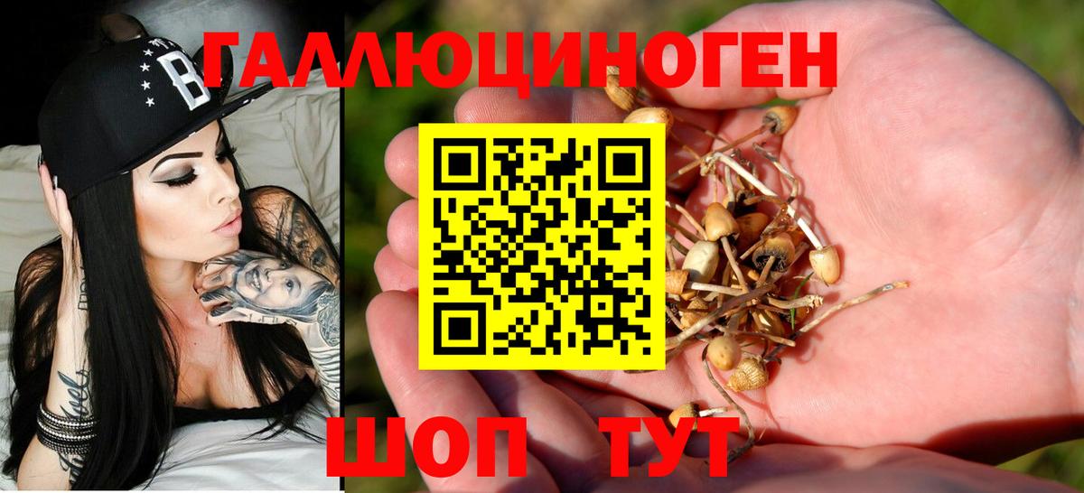 Брянск  Галлюциногенные грибы MAGIC MUSHROOMS  Вход с VPN 